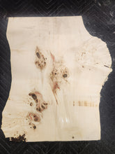 Box Elder Burl Slab