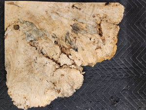 Box Elder Burl Slab