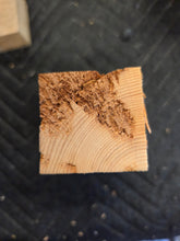 Yew