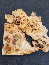 Poplar burl slab