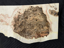 Box Elder Burl Cap