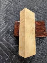 Horse Chestnut Knife Scale