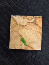 Box Elder Turkey Pot Hybrid