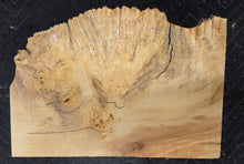 Box Elder Burl Cap