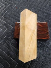 Horse Chestnut Curly Knife Scale