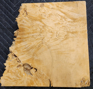 Box Elder Burl Slab