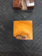 Apricot