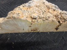 Box Elder Burl Cap