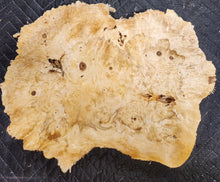 Box Elder Burl Slab