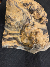 Box Elder Burl Cap