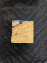 Box Elder Bottlestopper Hybrid