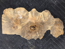 Box Elder Burl cap