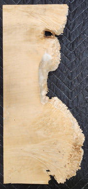 Box Elder Burl Slab