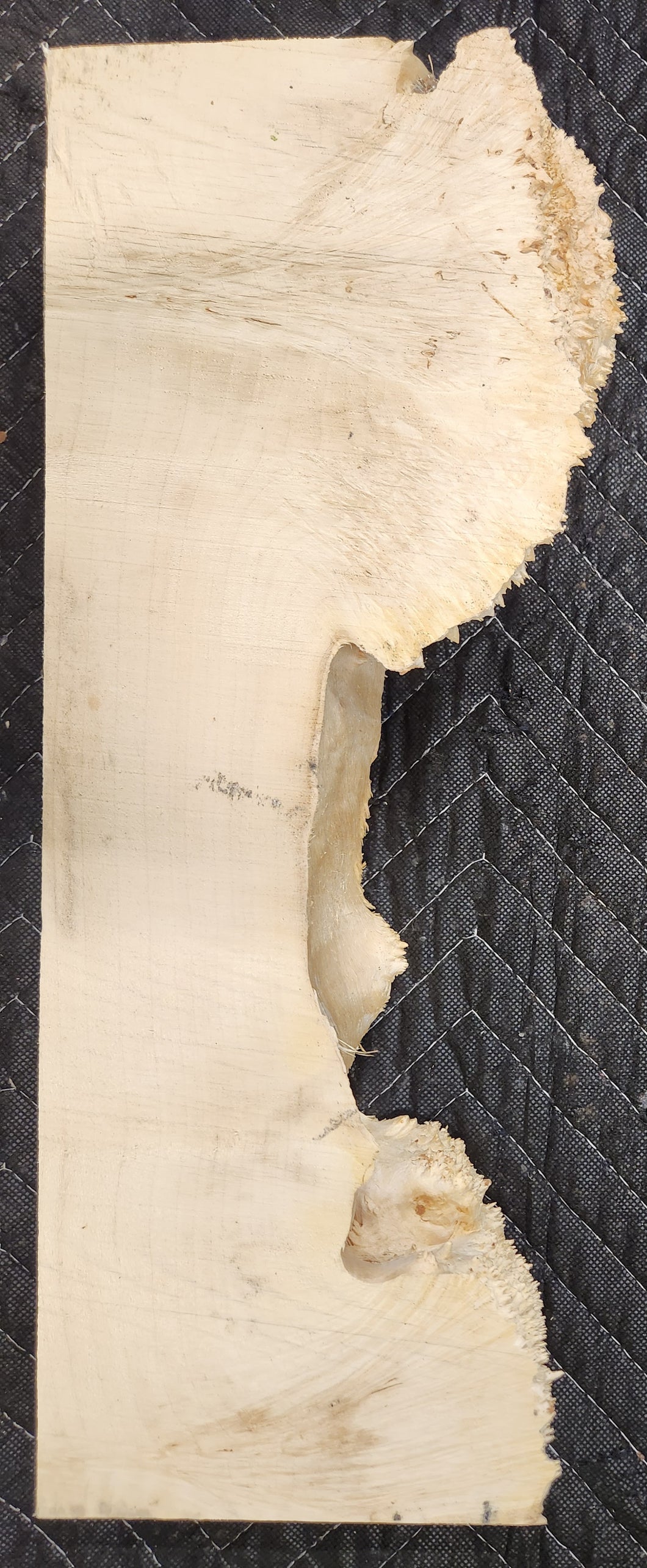 Box Elder Burl Slab