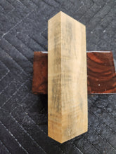 Horse Chestnut Curly Knife Scale