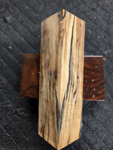 Hybrid Horse Chestnut