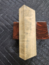 Horse Chestnut Curly Knife Scale