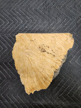 Box Elder Slab