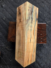 Hybrid Horse Chestnut