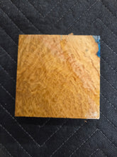 Brown Mallee Turkey Pot Hybrid
