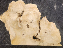 Box Elder Burl Slab