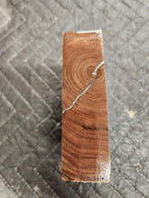 Hybrid Black Walnut Turkey Pot