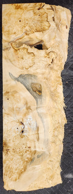 Box Elder Burl Slab