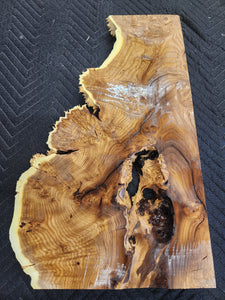 Russian olive burl slab