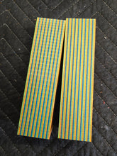 Macaw Spectraply