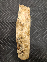 Box Elder Slab