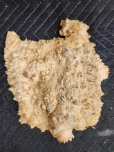Box Elder Burl Cap