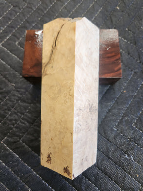 Box elder Burl