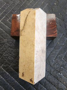 Box elder Burl