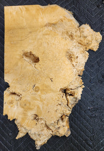 Box Elder Burl Slab