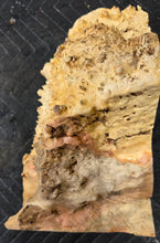 Box Elder Burl Cap