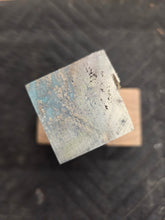 Blue Mahoe Hybrid