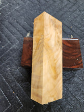Horse Chestnut Curly Knife Scale