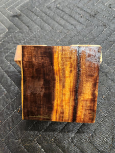 Desert Ironwood Turkey Pot