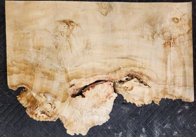 Box Elder Burl Slab