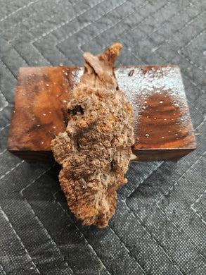 Casting Cherry burl