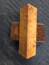 Yellow Box Burl