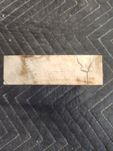 Horse Chestnut Turkey Pot Call