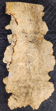Box Elder Burl Slab