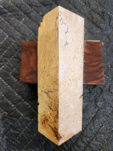 Box elder Burl
