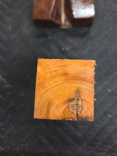 Apricot