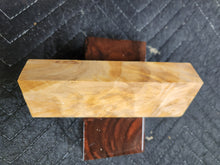 Horse Chestnut Curly Knife Scale