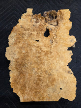 Box Elder Burl Cap