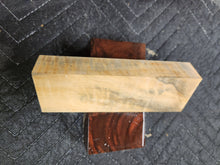 Horse Chestnut Curly Knife Scale