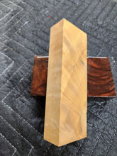 Horse Chestnut Curly Knife Scale