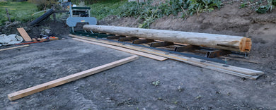 Sawmill